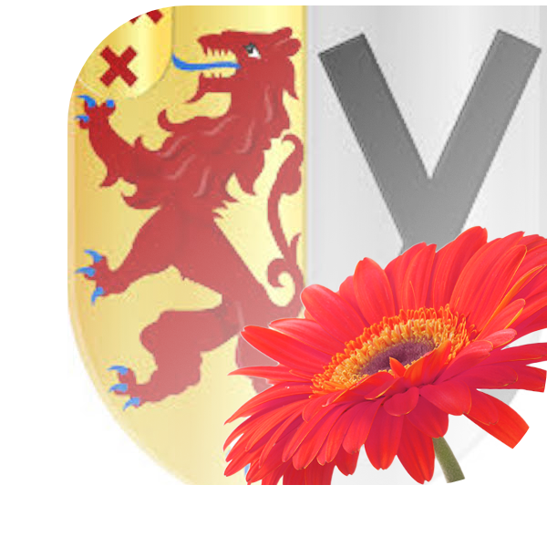 Bloemen Bezorgen Hekelingen