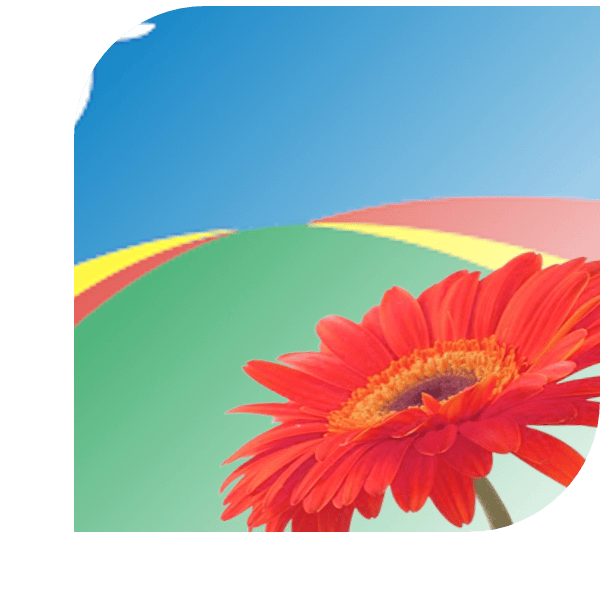 Bloemen bezorgen Biddinghuizen