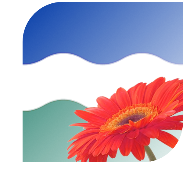 Bloemen Bezorgen Nederweert