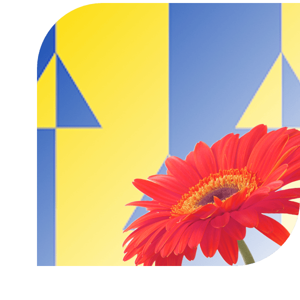 Bloemen Bezorgen Riel