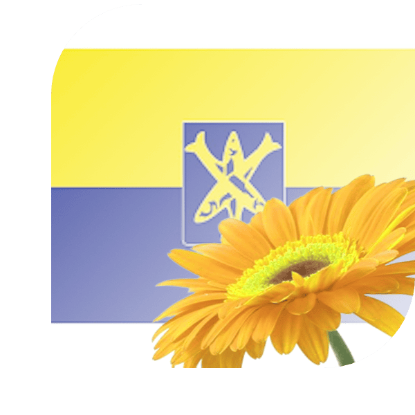 Bloemen bezorgen Zandvoort