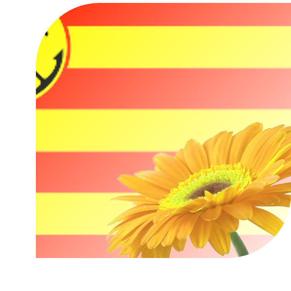Bloemen bezorgen Den Helder