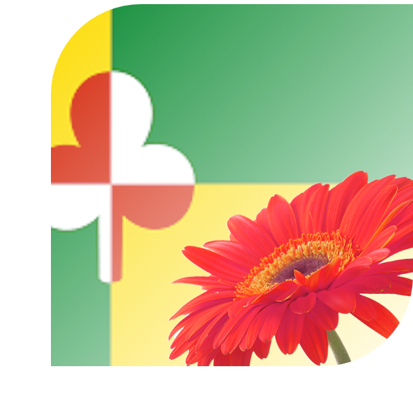 Bloemen bezorgen Tzum