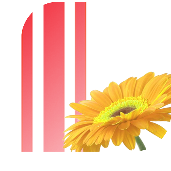 Bloemen Bezorgen Oisterwijk