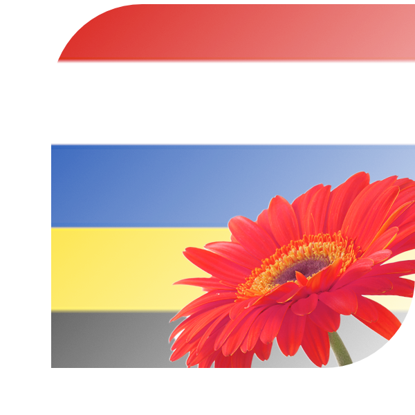 Bloemen bezorgen Elst