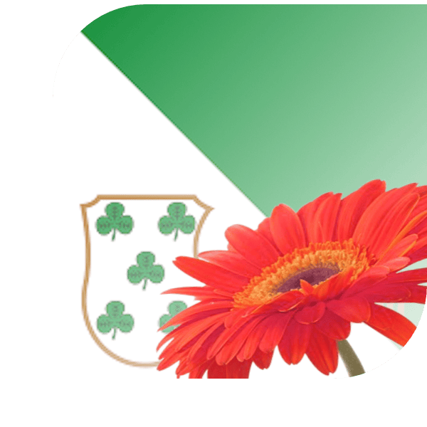 Bloemen bezorgen Ritthem