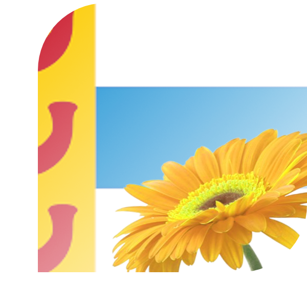 Bloemen bezorgen Weert