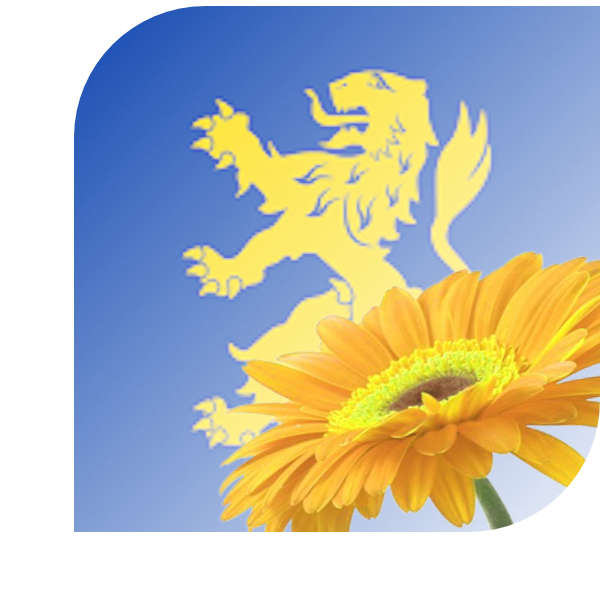 Bloemen bezorgen 's-Gravenzande