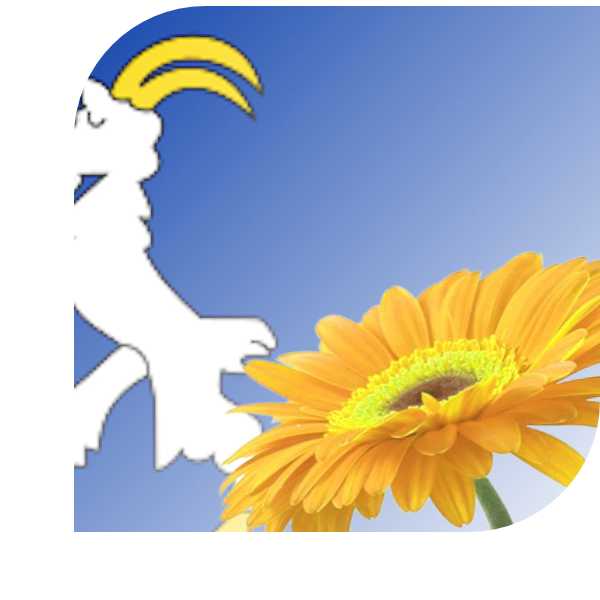 Bloemen Bezorgen Oldeberkoop