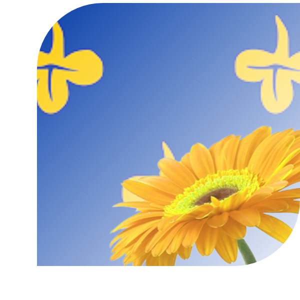 Bloemen bezorgen Zoeterwoude