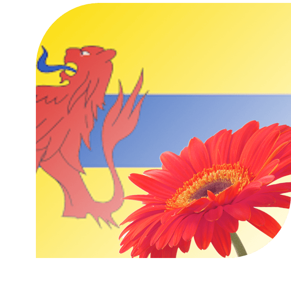 Bloemen bezorgen De Meern
