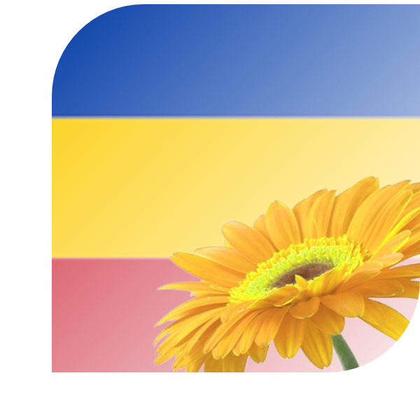 Bloemen Bezorgen Delfzijl