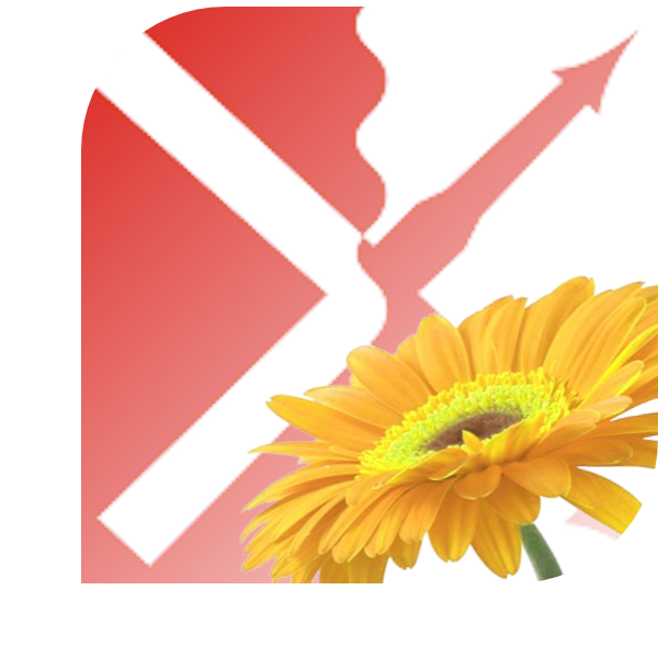 Bloemen Bezorgen Herkenbosch