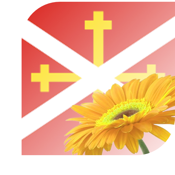 Boeket bezorgen Echt