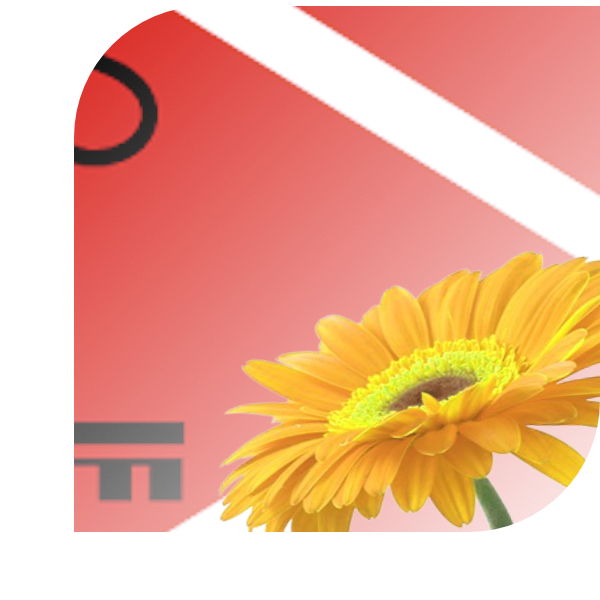 Bloemen bezorgen Berg en Terblijt