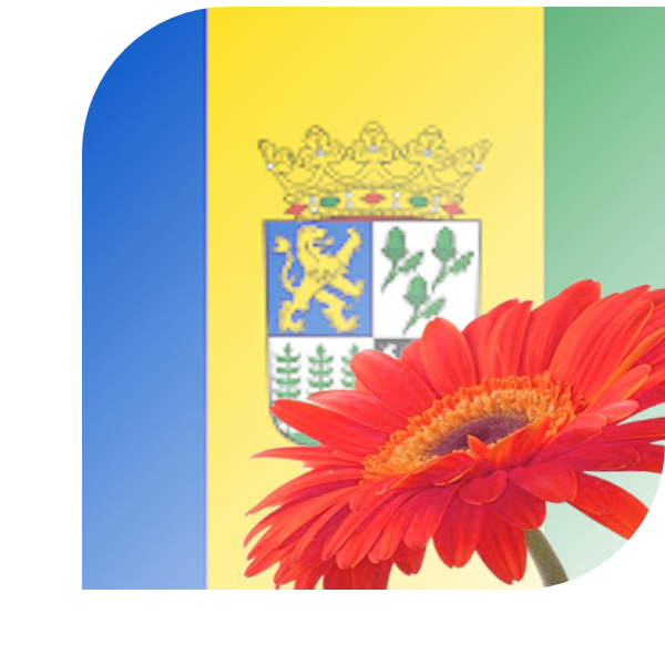 Bloemen bezorgen Castricum