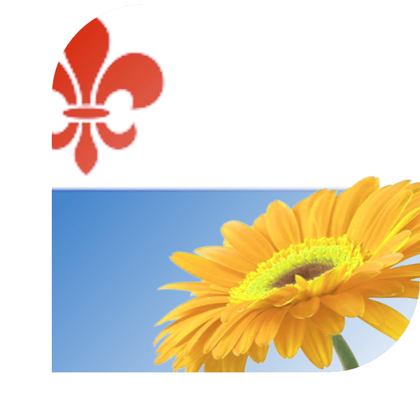 Bloemen Bezorgen Roermond