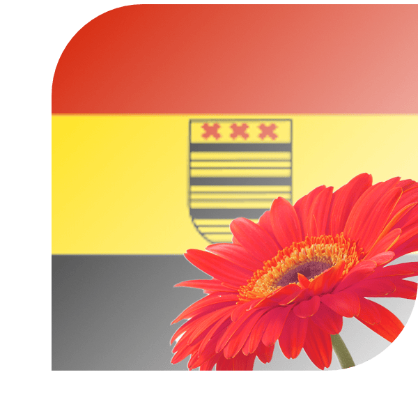 Bloemen bezorgen Deurne