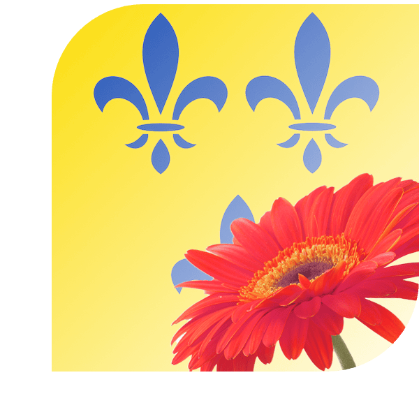 Bloemen Bezorgen Kloetinge