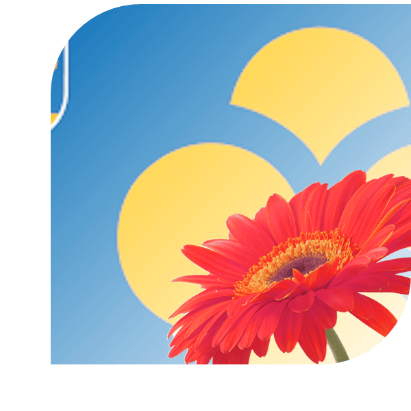 Bloemen bezorgen zoetermeer