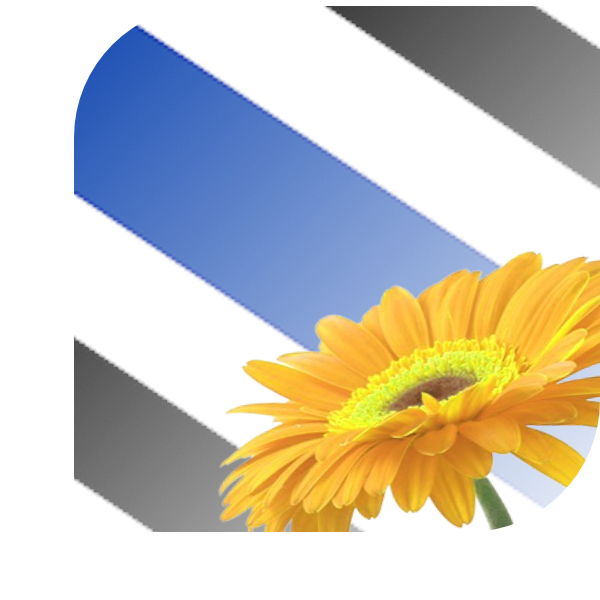 Bloemen Bezorgen Oostburg