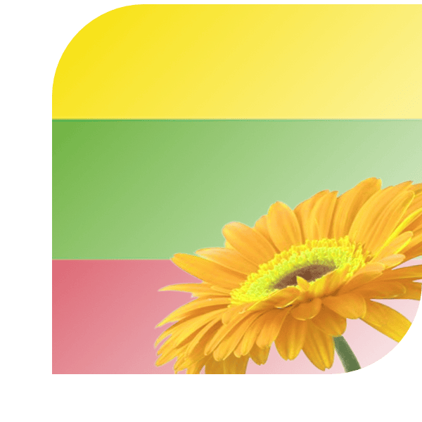 Bloemen Bezorgen Hillegom