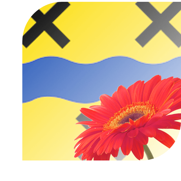 Bloemen Bezorgen Klundert