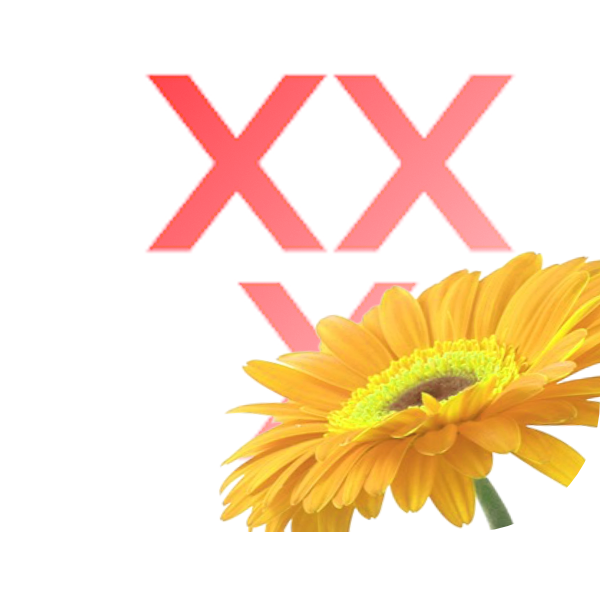 Bloemen bezorgen Zevenbergen
