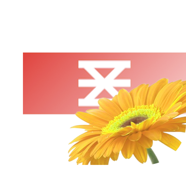 Bloemen bezorgen Enschede