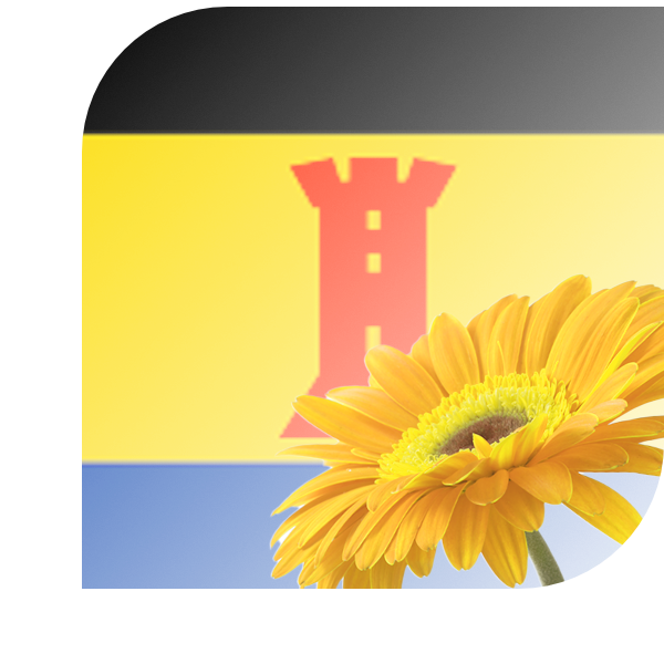 Bloemen bezorgen Born