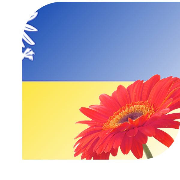 Bloemen Bezorgen Koudekerk aan den Rijn