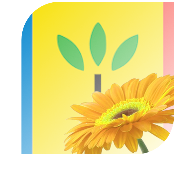 Bloemen bezorgen Landgraaf