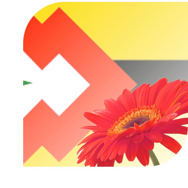 Bloemen Bezorgen Rottum