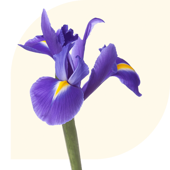 Bloemen bezorgen Garderen