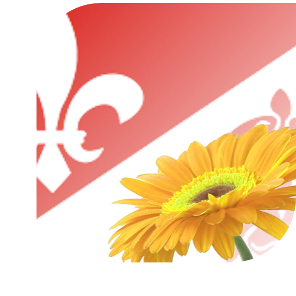 Bloemen bezorgen Dongjum