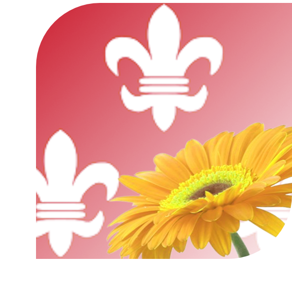 Bloemen bezorgen Beverwijk