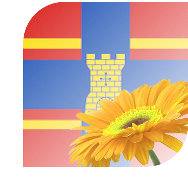 Bloemen bezorgen Coevorden