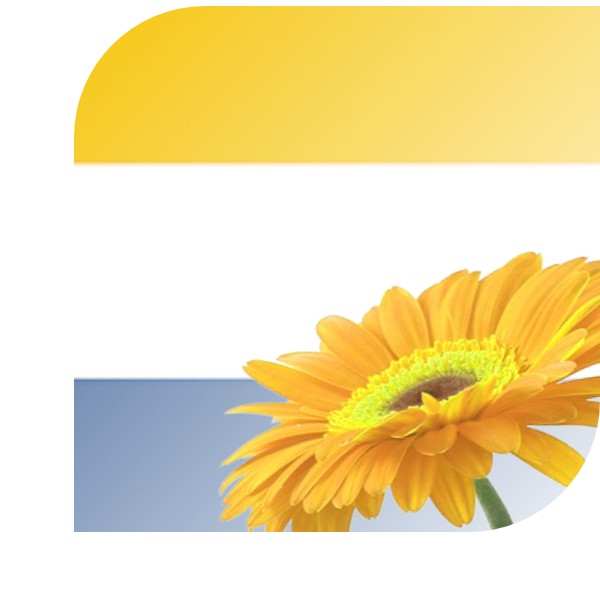Bloemen Bezorgen Nieuwstadt