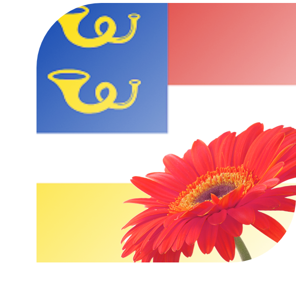Bloemen bezorgen Zegveld