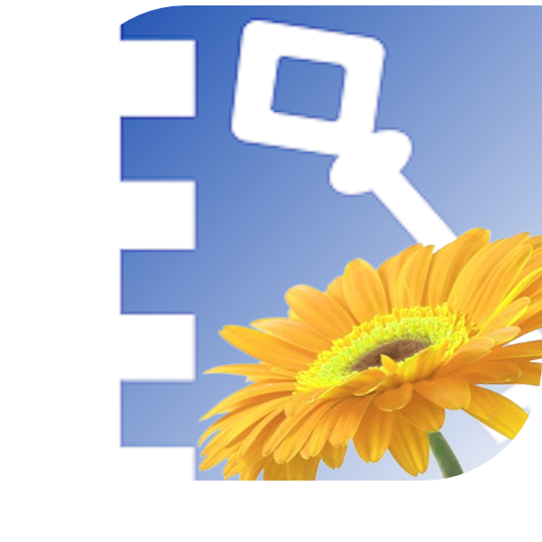 Bloemen Bezorgen Leens