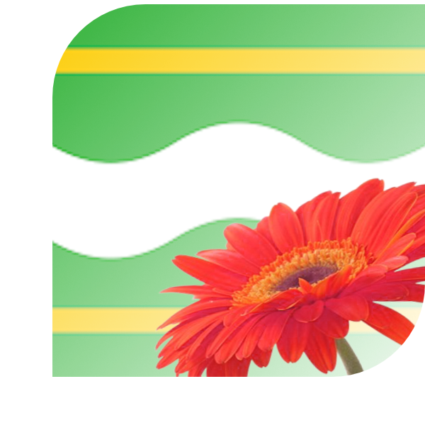Bloemen bezorgen Soest