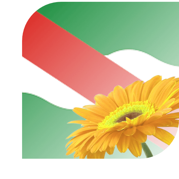 Bloemen bezorgen Snelrewaard