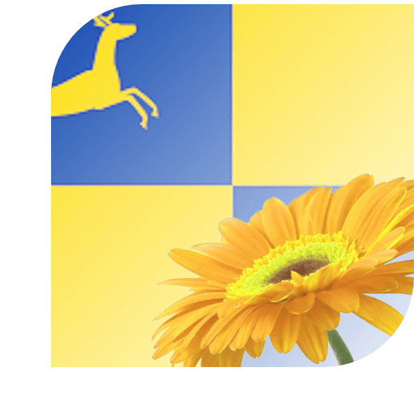 Bloemen Bezorgen Putten