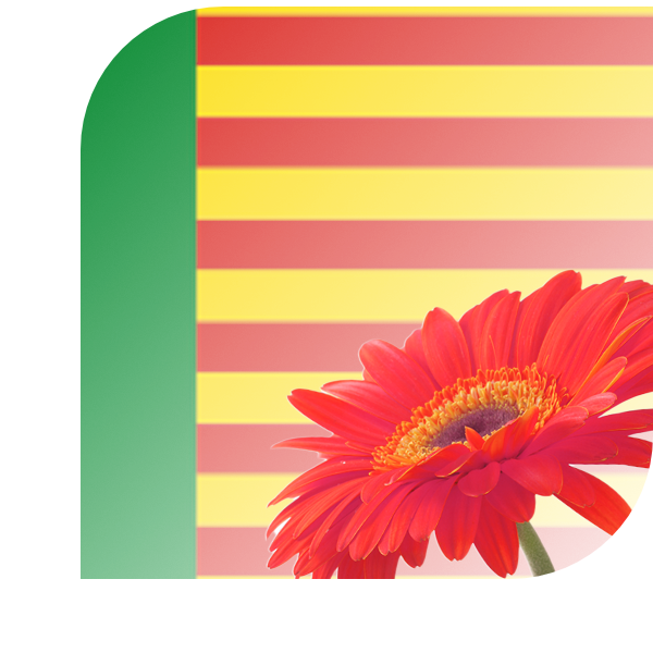 Bloemen bezorgen Egmond-Binnen