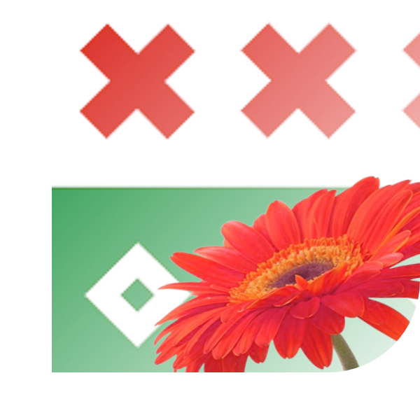 Bloemen bezorgen Willemstad
