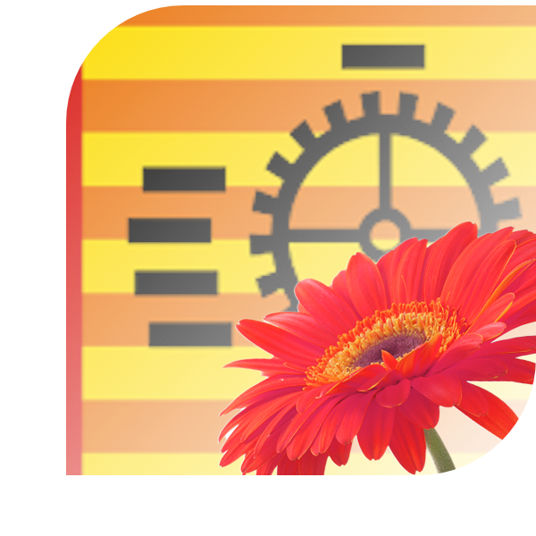 Bloemen Bezorgen Hoogezand