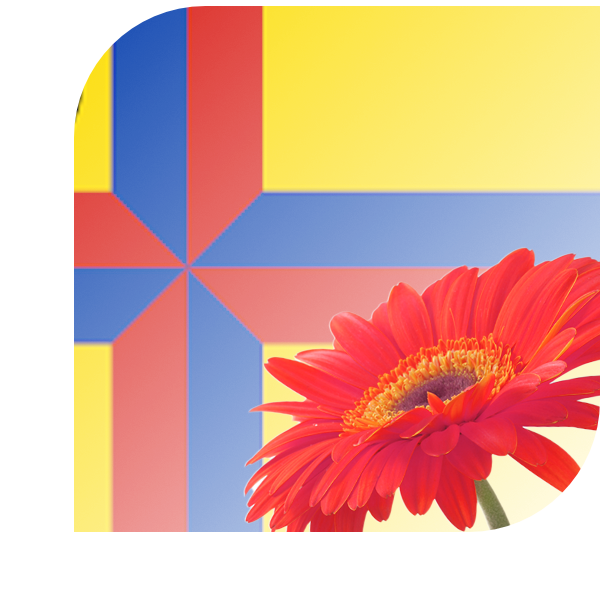 Bloemen bezorgen Eelde