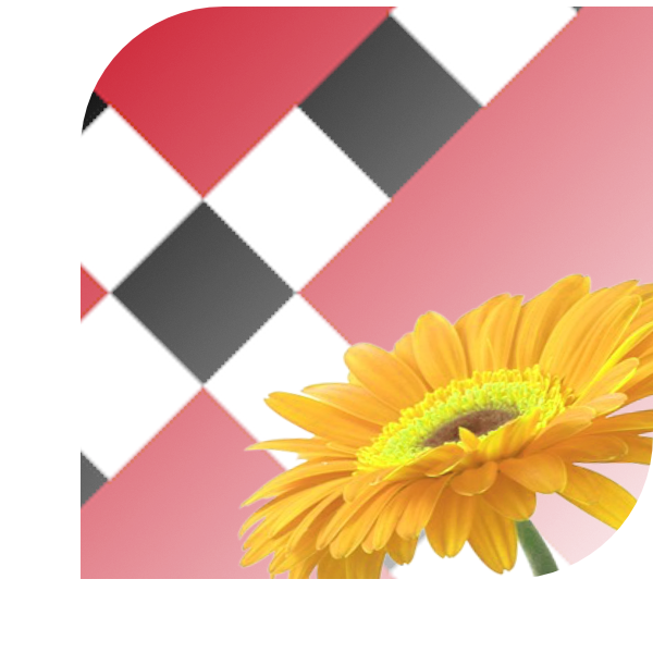 Bloemen bezorgen Veghel