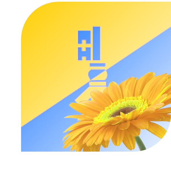Bloemen bezorgen Gilze