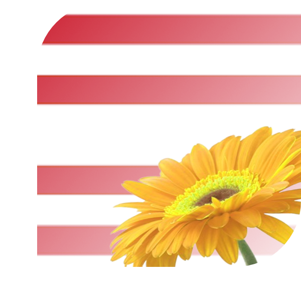 Bloemen bezorgen Gorinchem